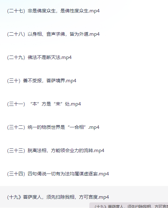 王德峰《金刚经》讲读【1.3GB】