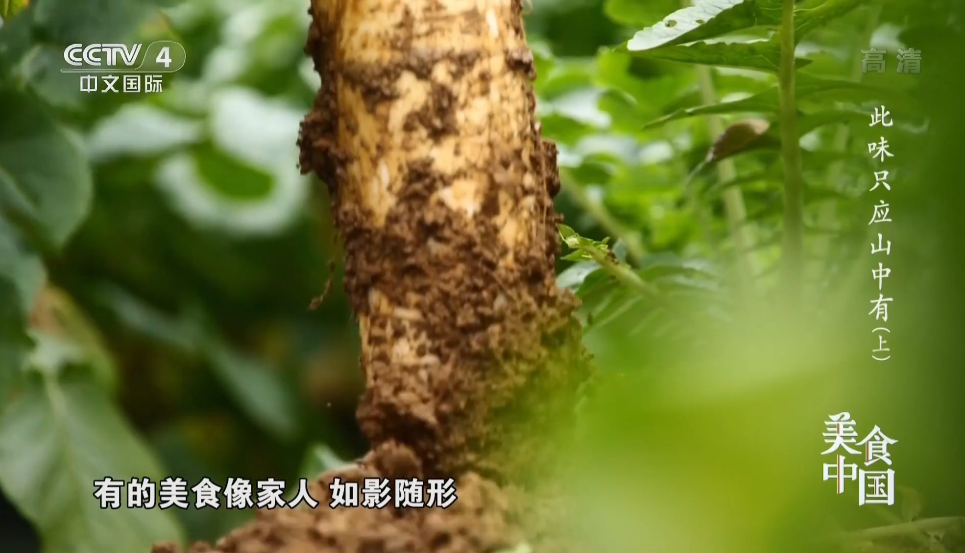 20250913【美食纪录片】《美食中国：此味只应山中有 2022》全2集  1080P超清【1.3G】