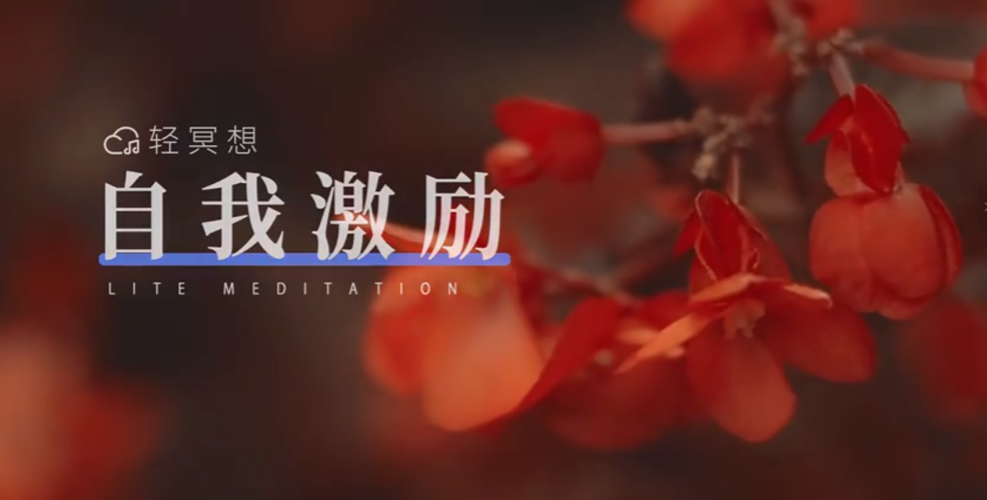 20250905【积极自我对话 正念冥想 重塑自信来源 激发潜意识能量 让积极的话给你勇气与信心】共 2 个项目8.9MB