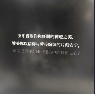 pc端空洞骑士丝之歌V1.0.28324 官方中文 安装版【2.3G】