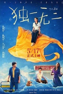 独一无二 (2025) 1080P 国语中字   [6.01G]
