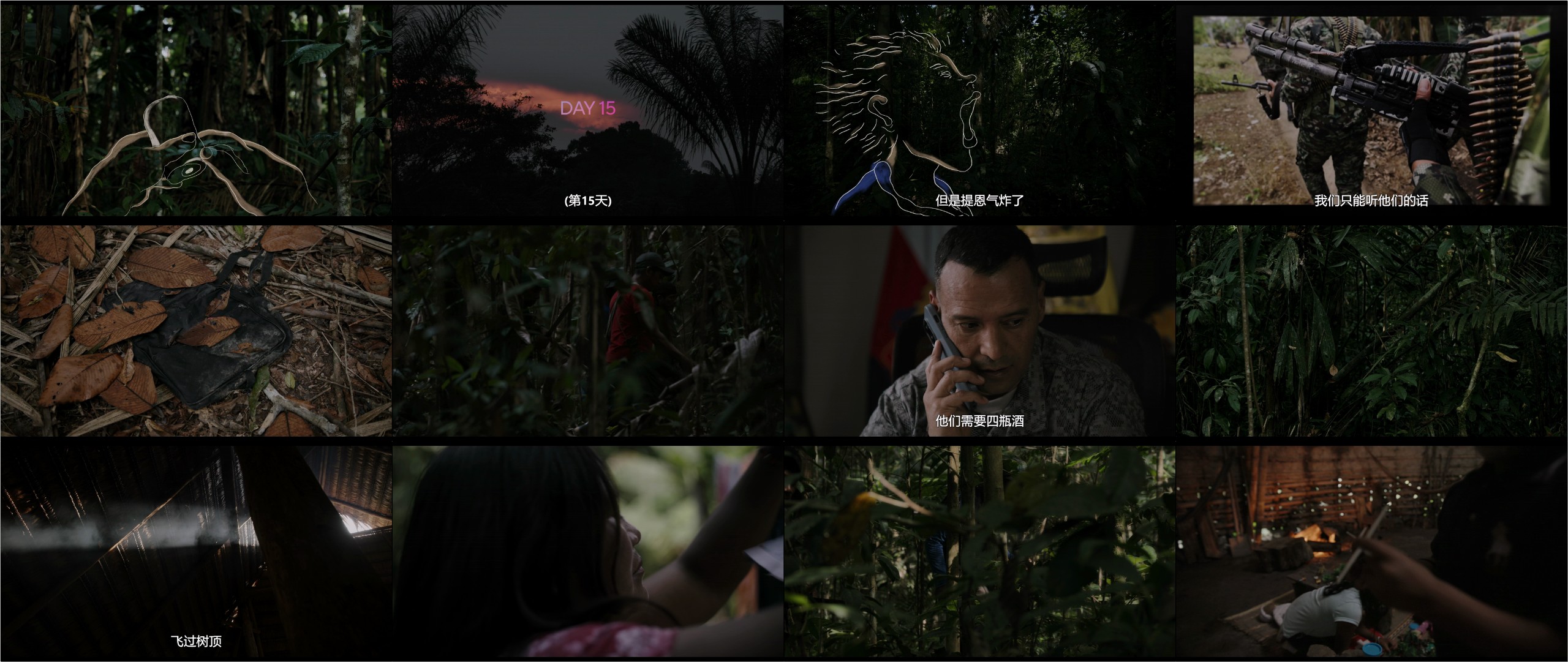 迷失丛林（2025）【4K / DV&HDR / 高码率】【杜比5.1音效】【官方中字】【10.1G】