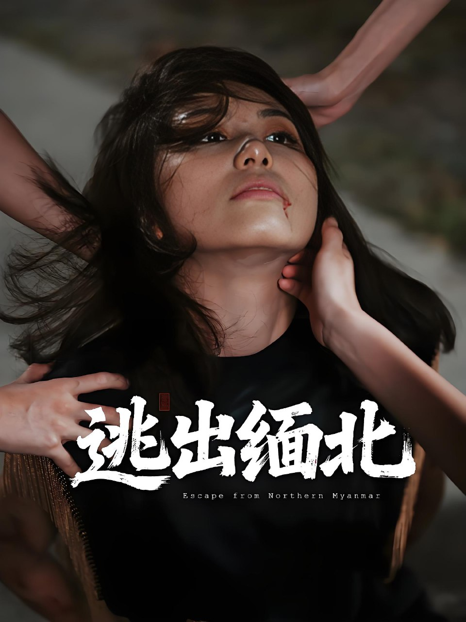 【短剧】逃出缅北 全62集 【0.6G】