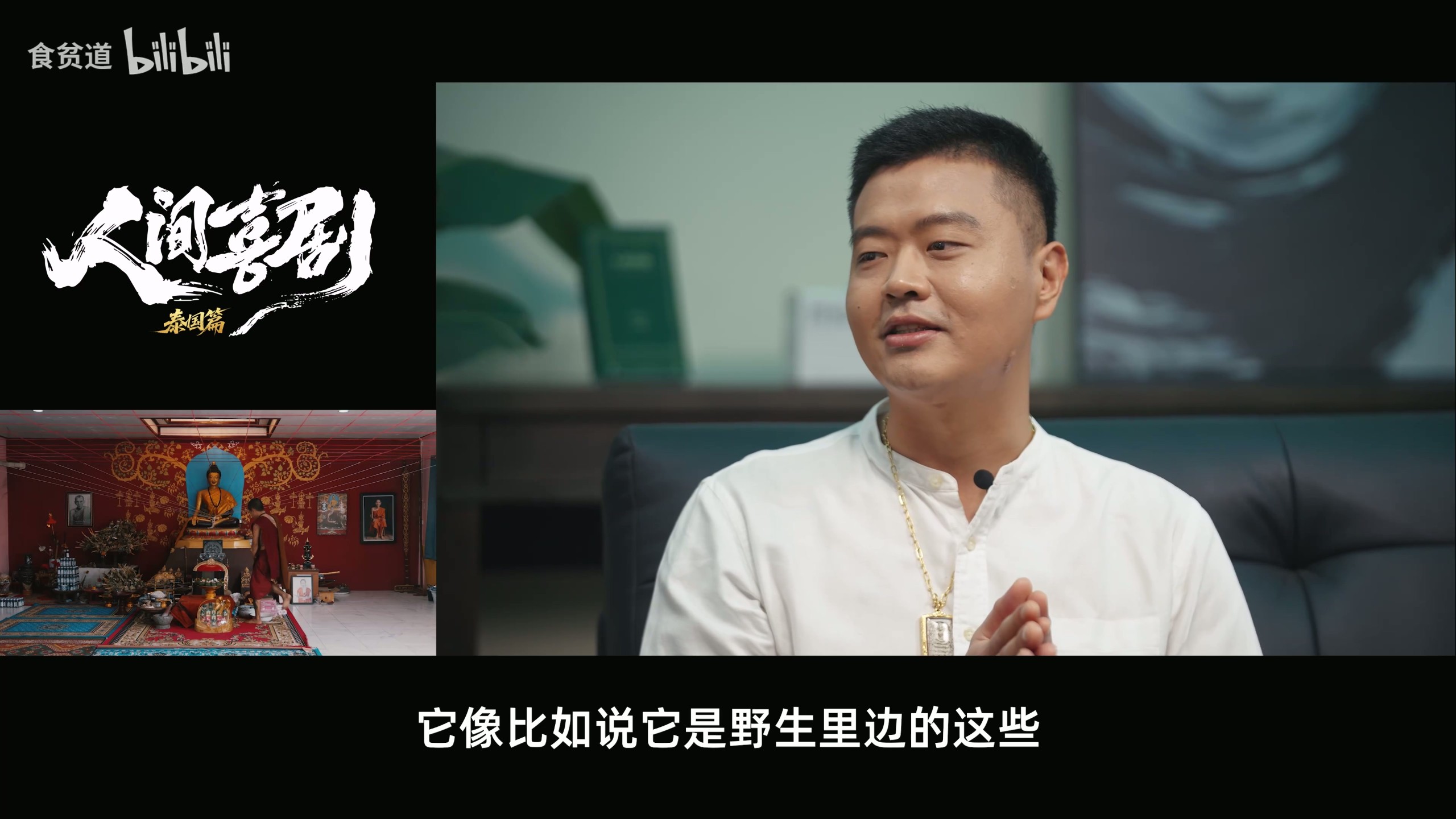 佛牌？大麻？变性手术？泰国人带你看懂《神鬼传奇》（2025-08-30） B站食贫道【4K/1080P】【+食贫道所有充电专属】【121.1G】