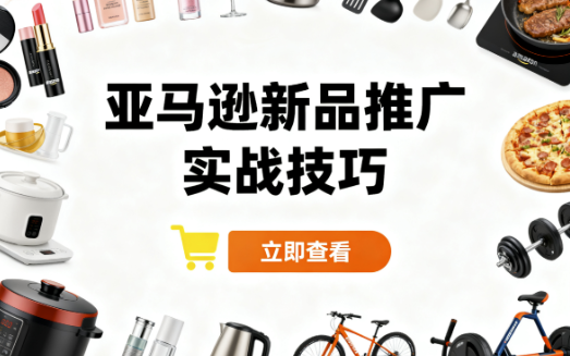 亚马逊新品推广实战技巧 【432MB】