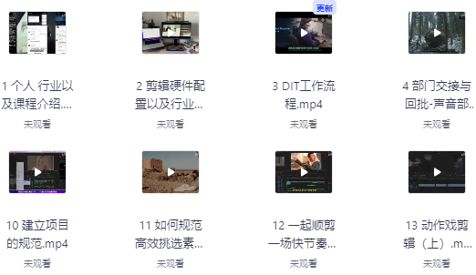 莱尼日记影视剪辑全流程入门+短剧实战课 - 带素材【6.4GB】