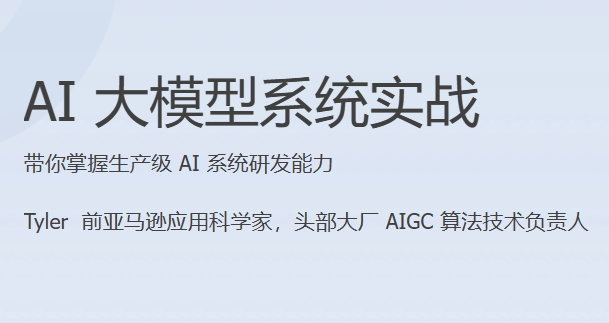 AI大模型系统实战（完结）【919MB】
