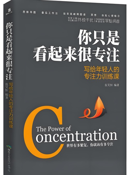 《你只是看起来很专注》 【PDF+其他格式】 4.5M