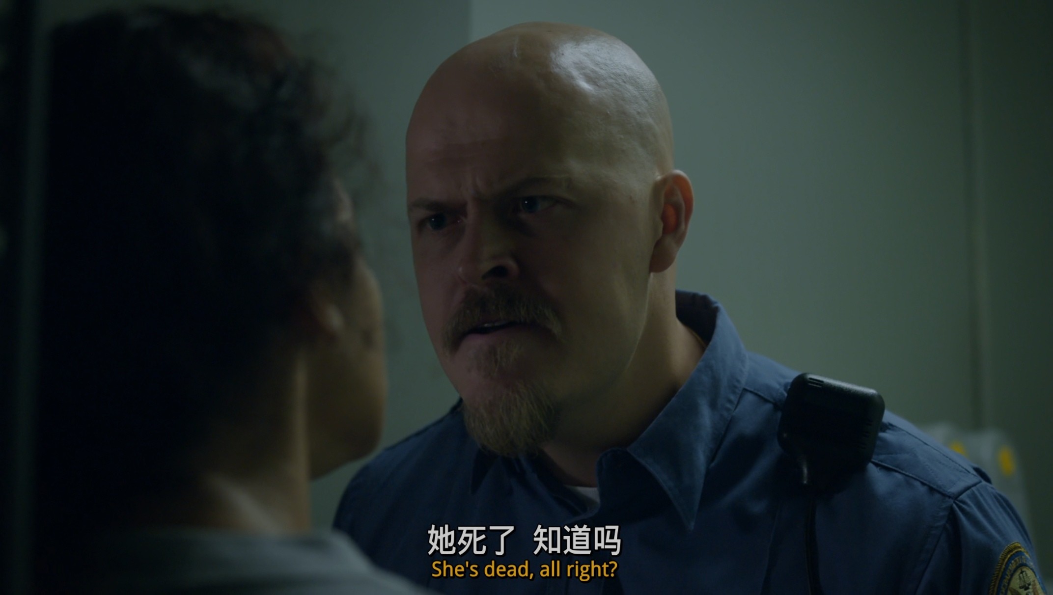 《女子监狱》1-7季 蓝光原盘REMUX 内封特效字幕（2013-2019）8G/集左右 总共854G 又名 :铁窗红颜 / 劲爆女子监狱