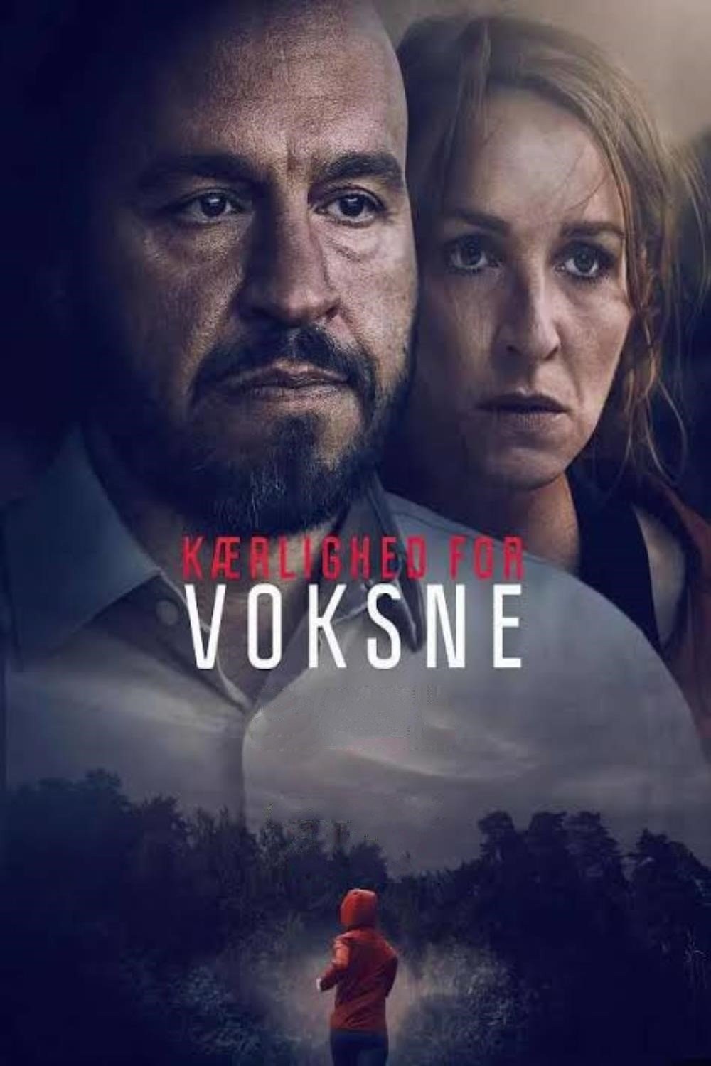 成人级爱情（2022）4K WEB-DL 内封多国字幕 13G