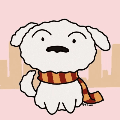 韩涛